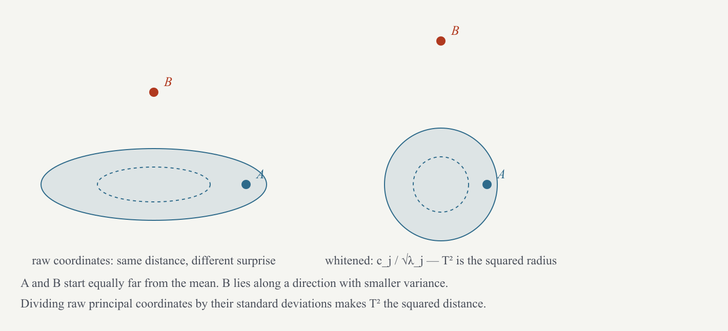 Whitening: after dividing each raw eigen-coordinate by its axis’s standard deviation, squared distance from the centre is T squared.